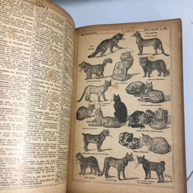 Tout en Un - Librairie Hachette - Bách khoa toàn thư 796937