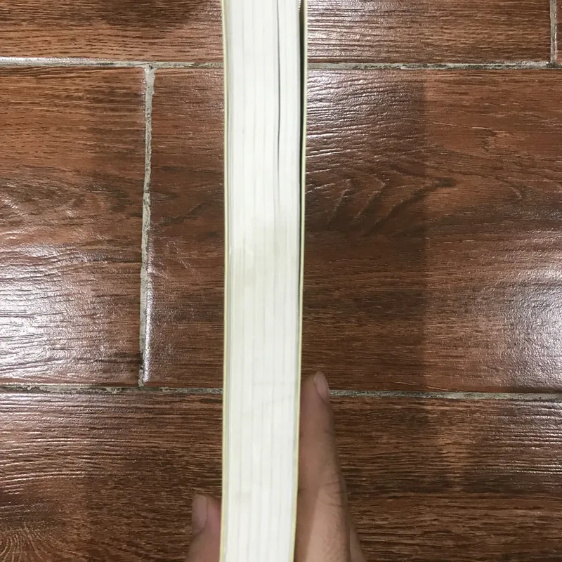 TÊN CỦA ĐÓA HỒNG - UMBERTO ECO 719440