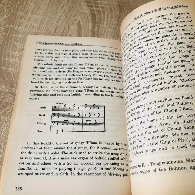 NHẠC KHÍ DÂN TỘC JRAI VÀ BAHNAR 1028171