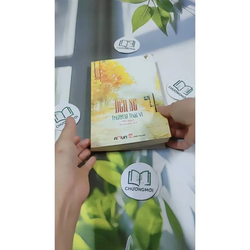 Bến Xe - Thương Thái Vi 744709