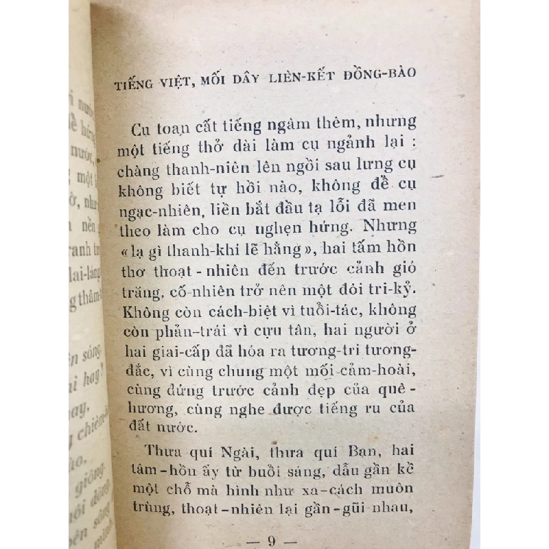 Khả năng của tiếng việt - Thuần Phong 125865