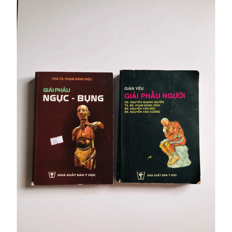 GIẢI PHẪU NGỰC - BỤNG / GIẢI PHẪU NGƯỜI  530569