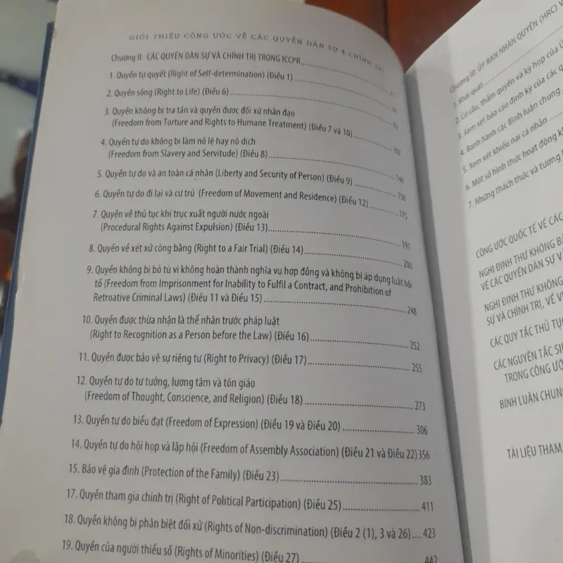 Giới thiệu CÔNG ƯỚC QUỐC TẾ VỀ CÁC QUYỀN DÂN SỰ VÀ CHÍNH TRỊ (ICCPR, 1966) 753693