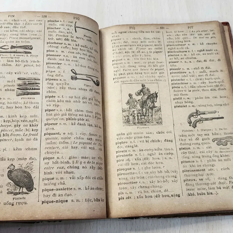 PETIT DICTIONNAIRE FRANCAIS - ANNAMITE
par J.-B.-P TRƯƠNG - VĨNH - KÝ
 1920 562054