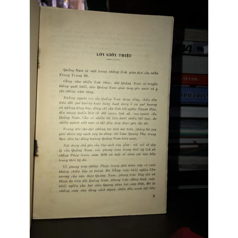 Quảng Nam - Địa lý, lịch sử, nhân vật - Lâm Quang Thự 993301