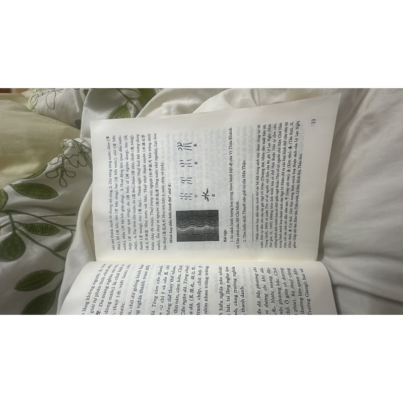 Giải nghĩa chữ Hán trong thơ Đường và thơ trung đại VN 68134