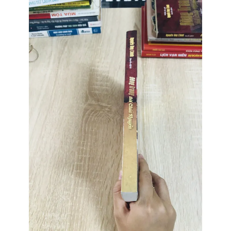 ĐÀNG TRONG THỜI CHÚA NGUYỄN  1024391