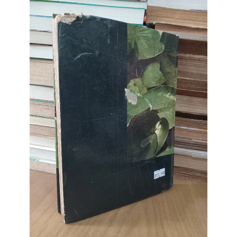 Botanique: Classe de 2e M' - A. Theron 1031273