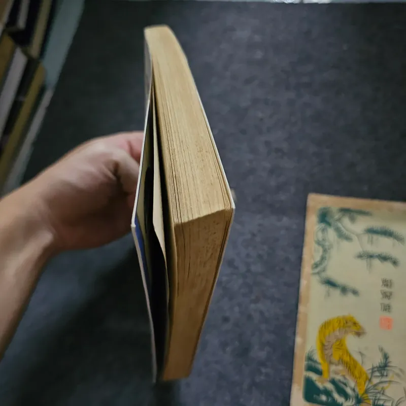 Tôi là bê tô - nguyễn nhật ánh 736611