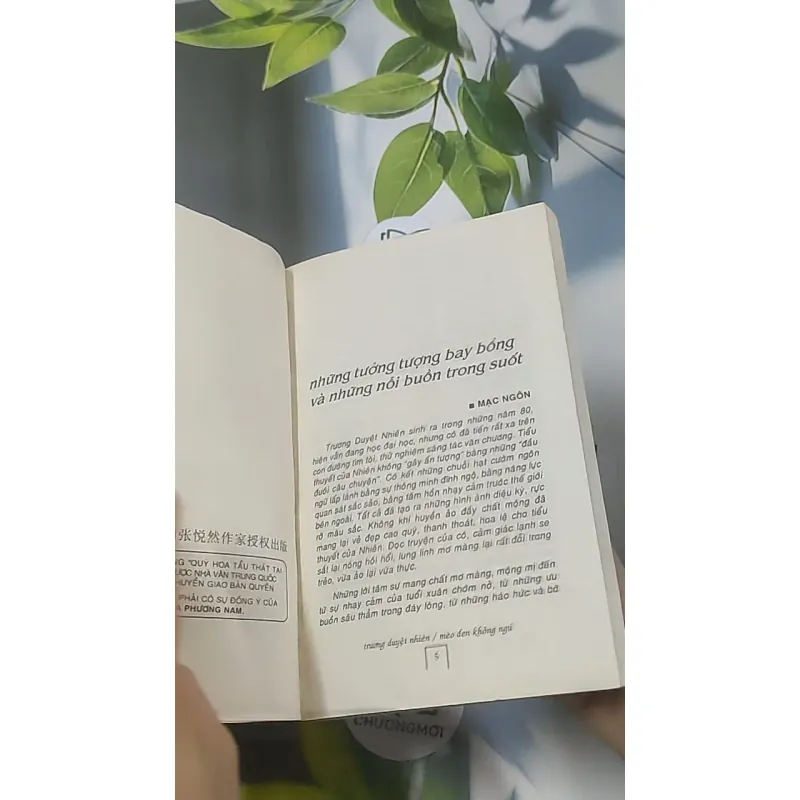 Mèo đen không ngủ - Trương Duyệt Nhiên 688649