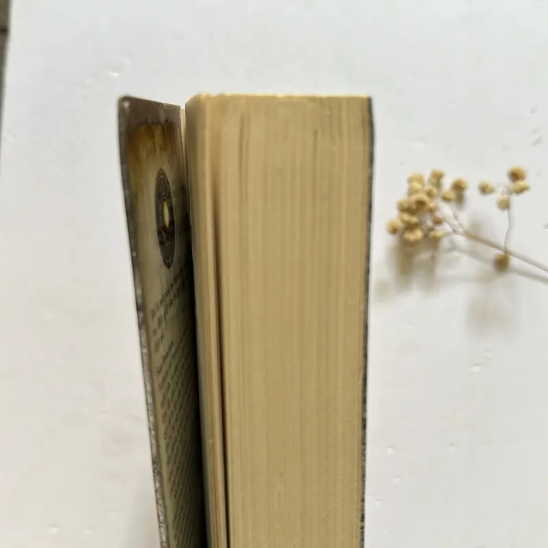 Yêu Nữ – Bí mật của Nicholas Flamel bất tử (Michael Scott) 597207