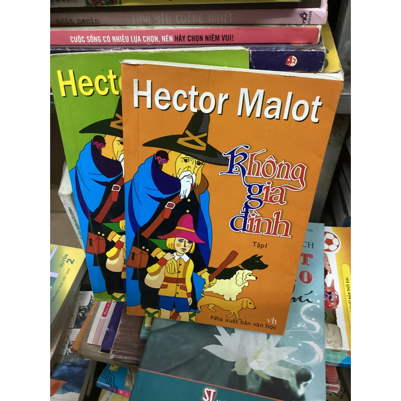 Sách Hector Malot: Không gia đình (2 cuốn) 311448