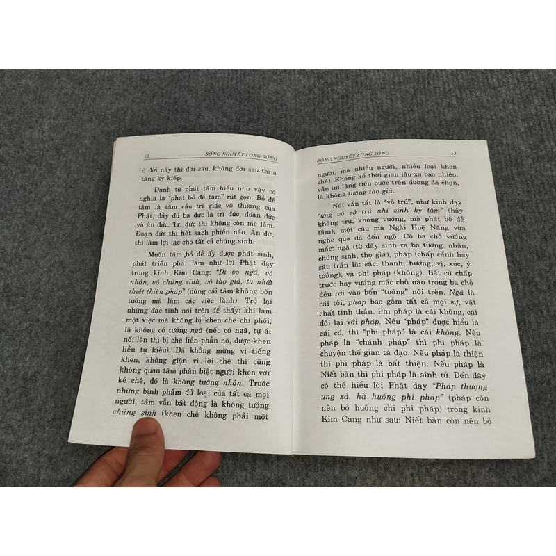 BÓNG NGUYỆT LÒNG SÔNG 494775