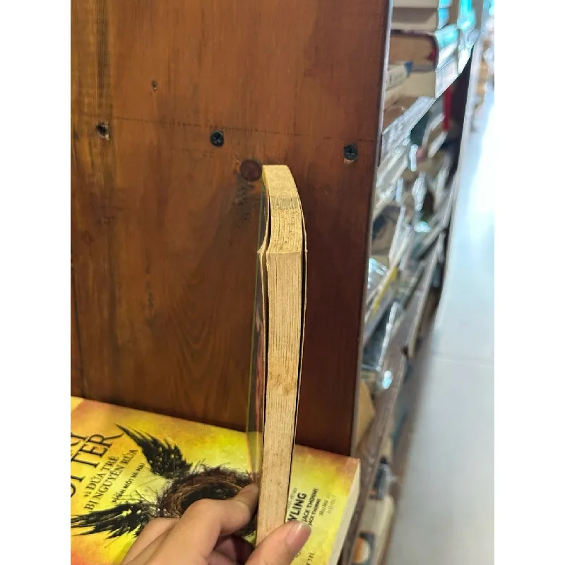 Le Retour du Masque Hanté - R.L.Stine & Série Chair de poule 610095