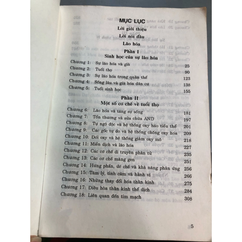 LÃO HOÁ - Đoàn Yên 461842