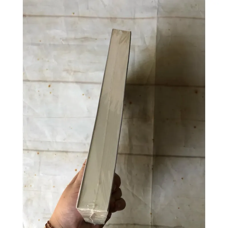 Sát Thủ Chim Én - Morgan Audic 756999