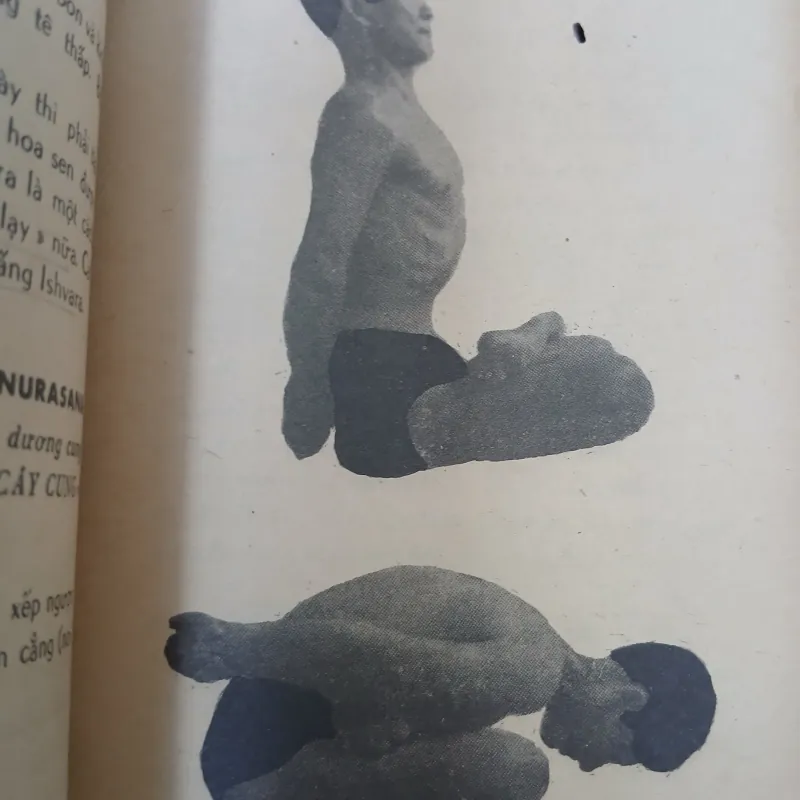 YOGA THIỀN ĐỊNH - NAWAMI 932755