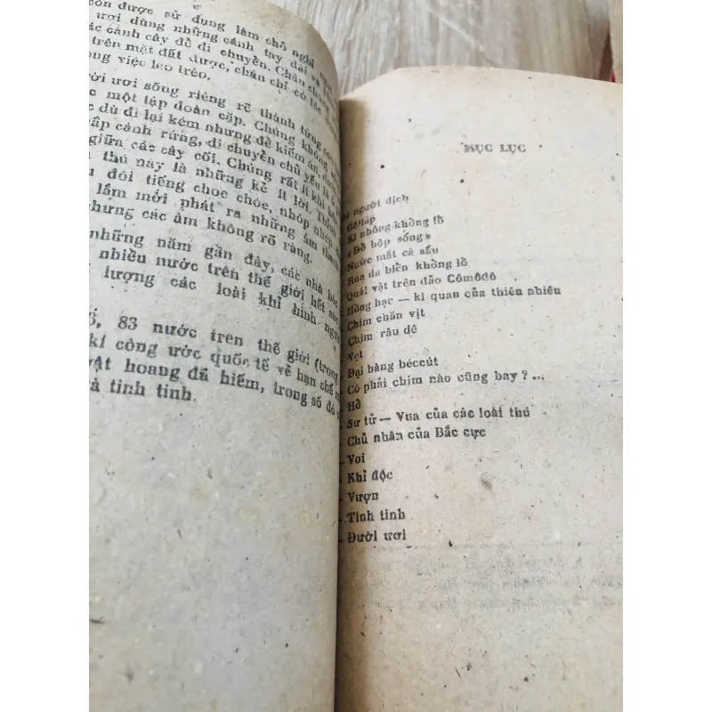 NHỮNG ĐỘNG VẬT HIẾM TRÊN THẾ GIỚI  960099