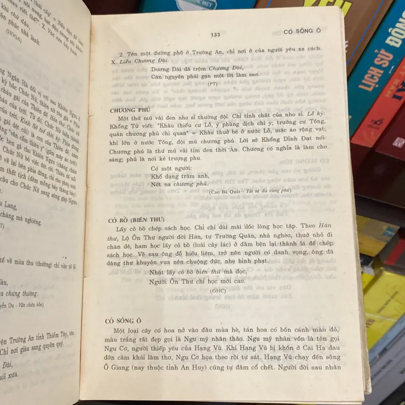 TỪ NGỮ VĂN NÔM, Nguyễn Thạch Giang, bản bìa cứng (XB 1993) 937578