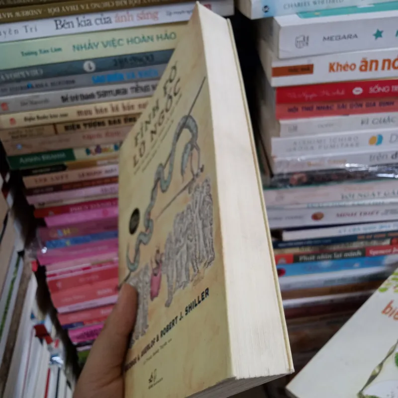 Fỉnh Fờ Lũ Ngốc 📚 748777