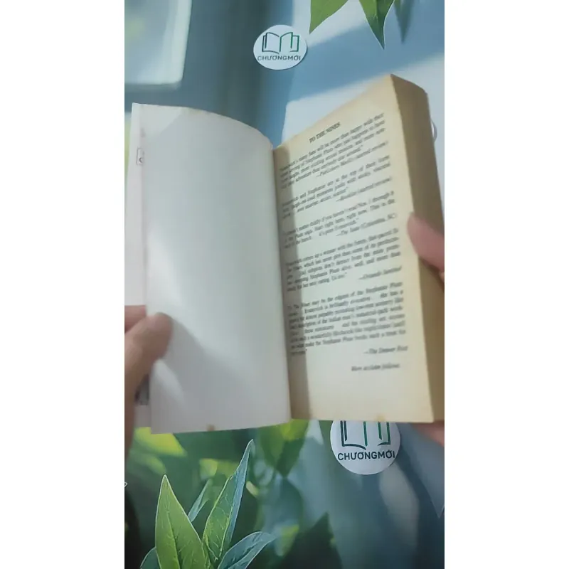 To the Nines - Janet Evanovich 1027216