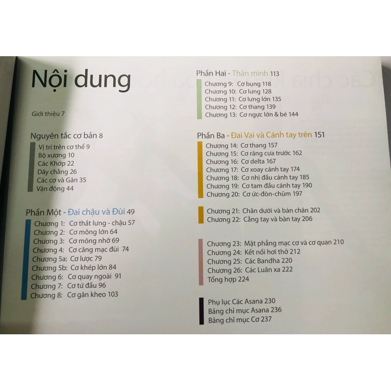 HƯỚNG DẪN VỀ GIẢI PHẪU CHỨC NĂNG TRONG YOGA CÁC CƠ CHÍNH TRONG YOGA  460439