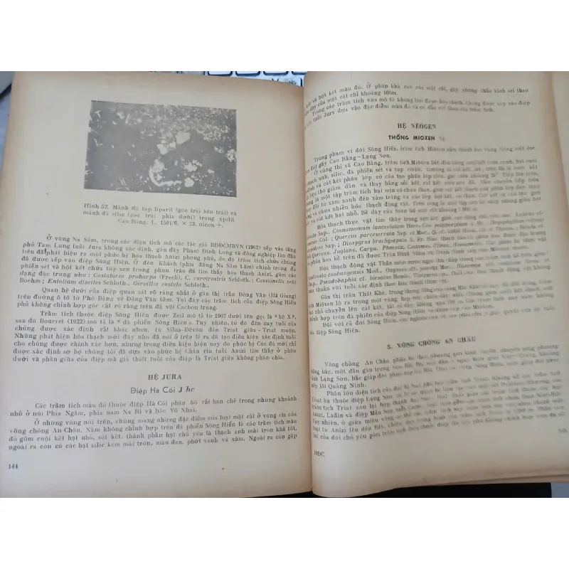 ĐỊA CHẤT VIỆT NAM PHẦN MIỀN BẮC 687503