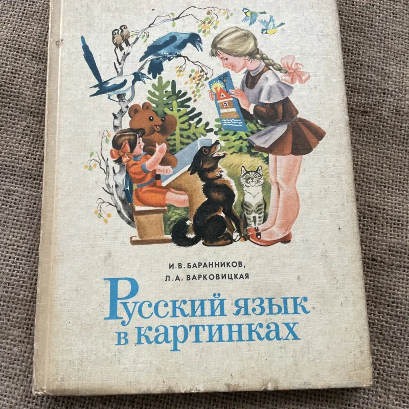 И.В. БАРАННИКОВ, Л.А. ВАРКОВИЦКАЯ  Русский язык в картинках - tiếng Nga bằng hình ảnh 791616