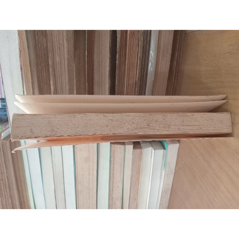 La démarche clinique en sciences humaines - C. Revault d'Allonnes & AL 993432