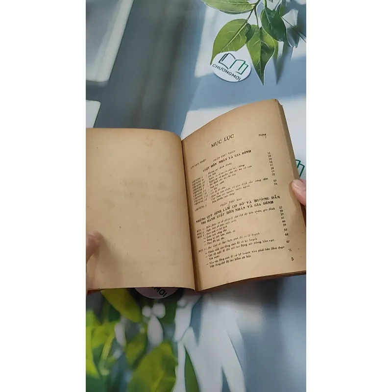 [XƯA] Luật Lệ Về Hôn Nhân Và Gia Đình (1987) 776079