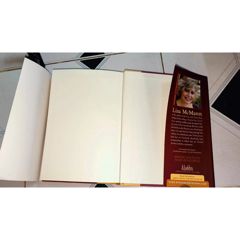 Sách Chapter: The Unwanteds  - Island of Fire (Lisa McMann) #NYT Bestselling series  470396