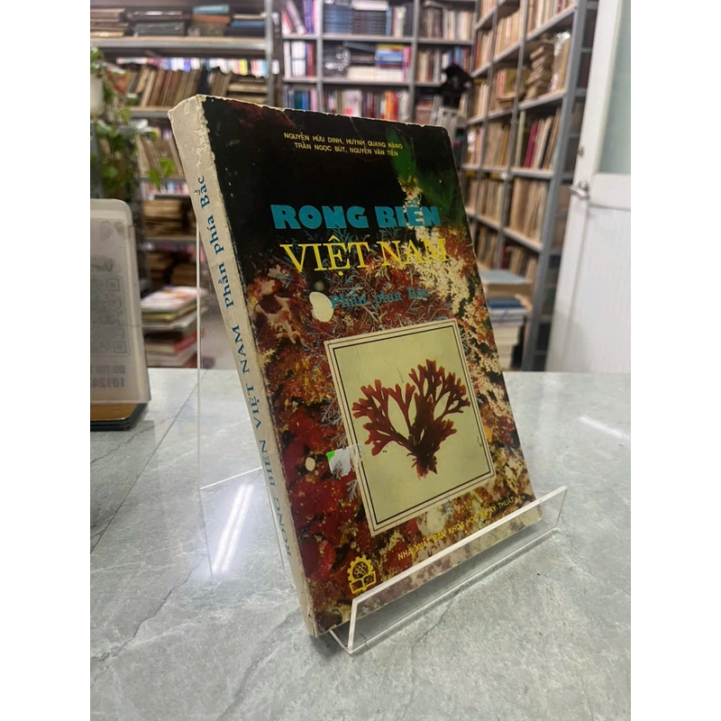RONG BIỂN VIỆT NAM PHẦN PHÍA BẮC 536352