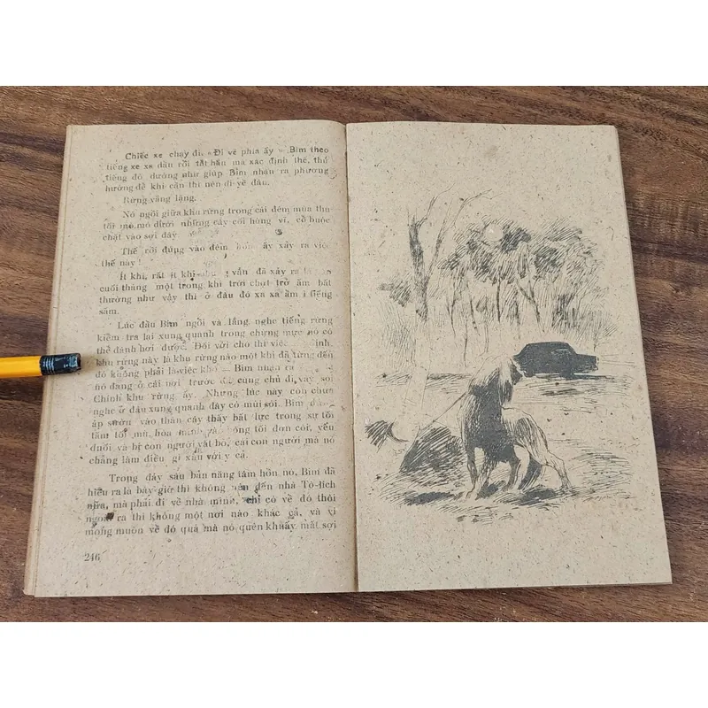 CON BIM TRẮNG TAI ĐEN - NXB Măng Non 1983 (tranh vẽ minh họa) 732140