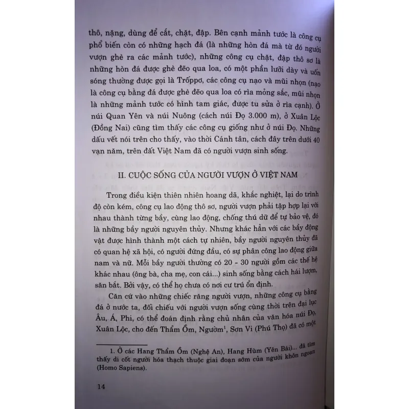 Lịch sử Việt Nam giản yếu 745695