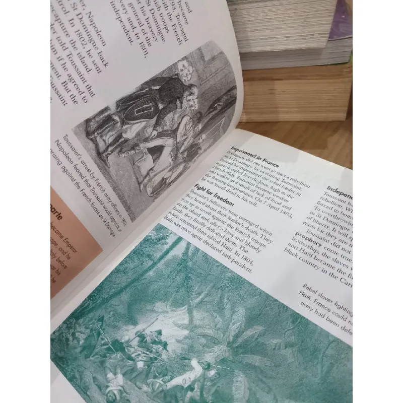 Rebels With A Cause series - Paul Thomas 687931