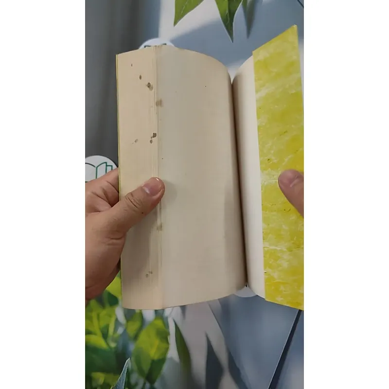 [MIỄN PHÍ BỌC SÁCH] Hồi Ký Song Đôi 1 - Huy Cận 798353