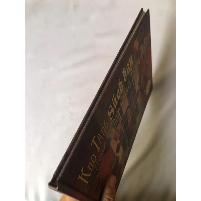 Kho Tàng Sách Bay Của Morris Thăng Trầm - William Joyce 758370