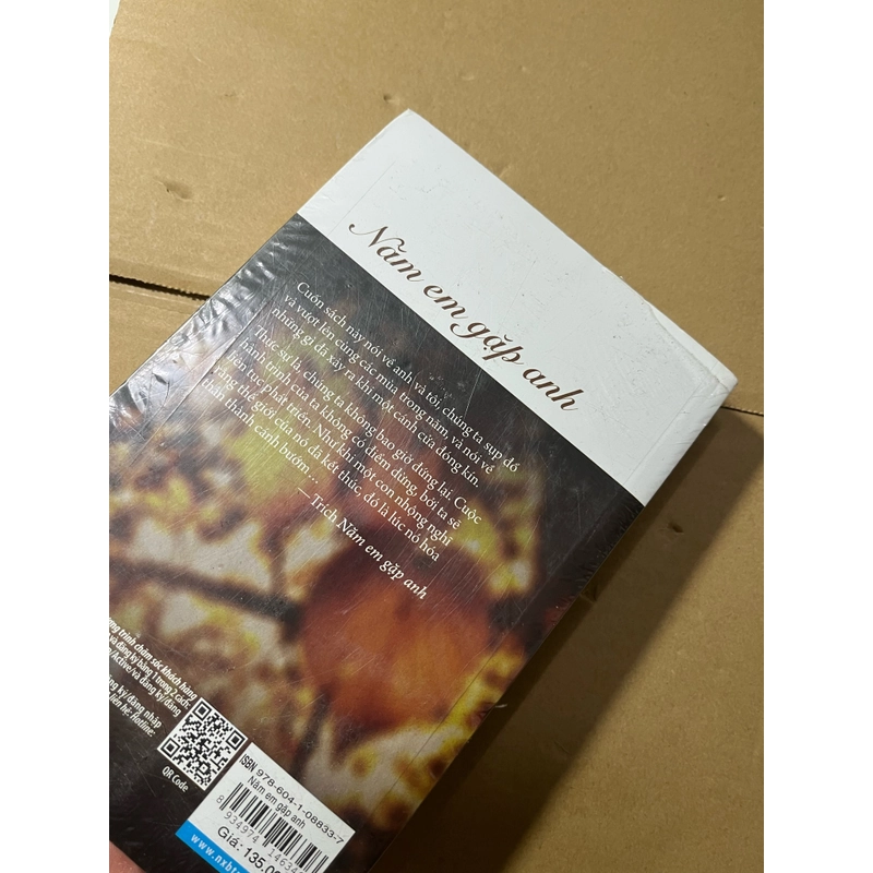 Năm Em Gặp Anh 528294