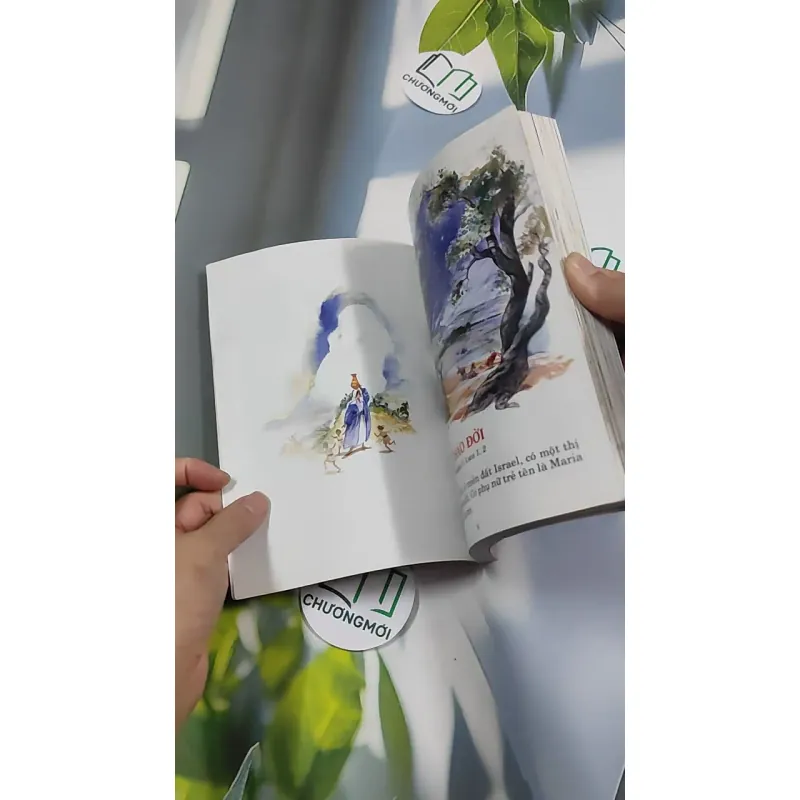 Kinh Thánh Đầu Đời - Thánh Kinh 13 776188