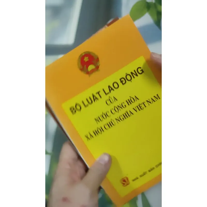 Combo: Bộ Luật Lao Động Của Nước Cộng Hòa XHCN Việt Nam, Luật Đất Đai 727363