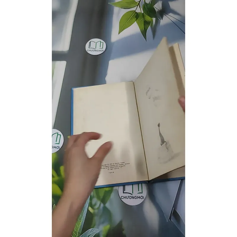 [MIỄN PHÍ BỌC SÁCH] [XƯA] Dorrie And The Wizzard's Spell (1968) 990508