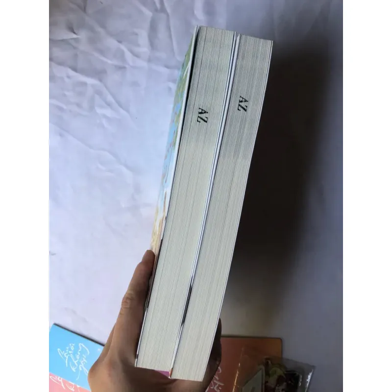 Lâu Rồi Không Gặp - Bắc Nam (kèm phụ kiện như hình) 746392