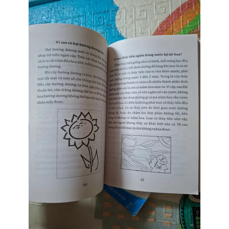 Combo sách Kiến thức thiếu nhi 936342