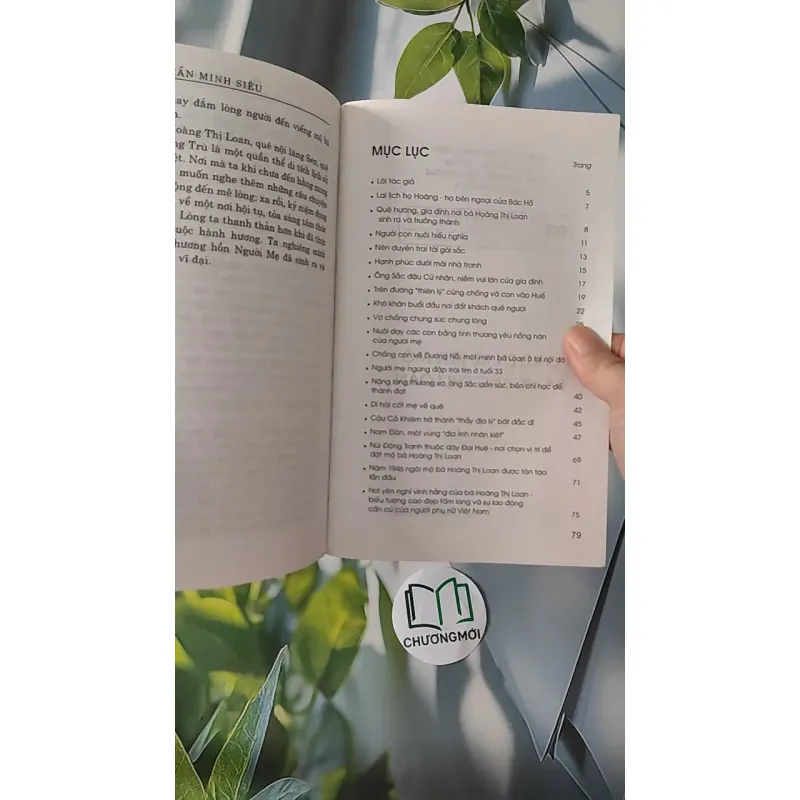 Chuyện Kể Bên Mộ Bà Hoàng Thị Loan - Bá Ngọc & Trần Minh Siêu 970231