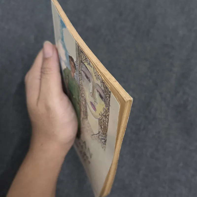 Nơi bình yên chim hót - Lý Lan 785510