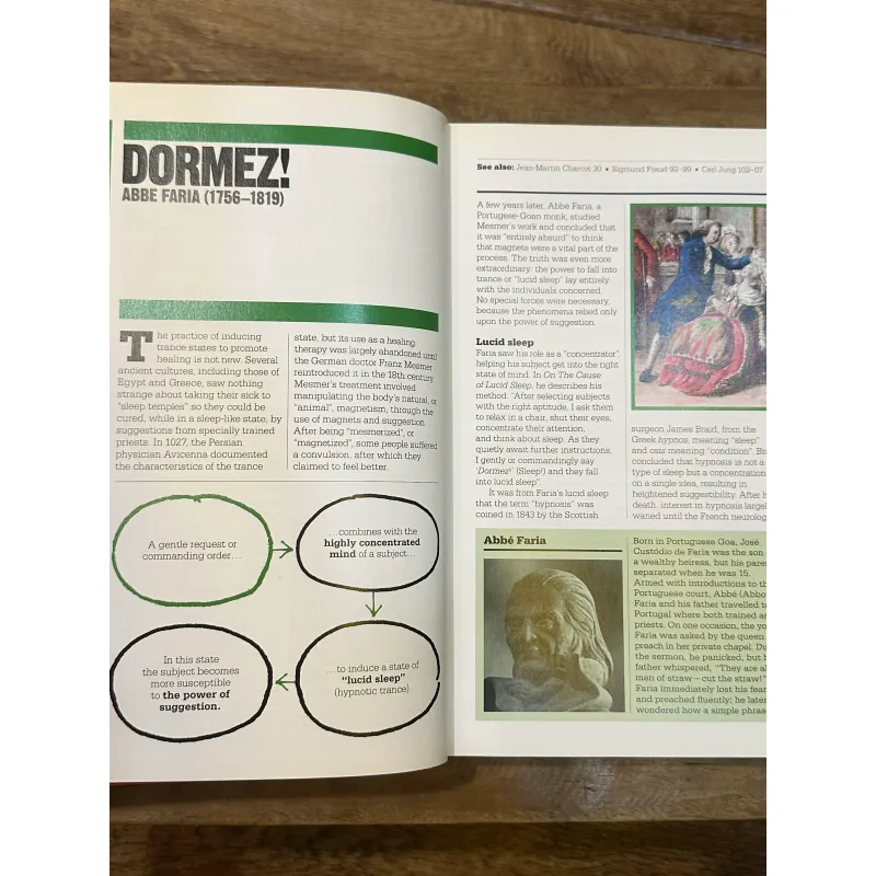 The Psychology Book - DK 723076