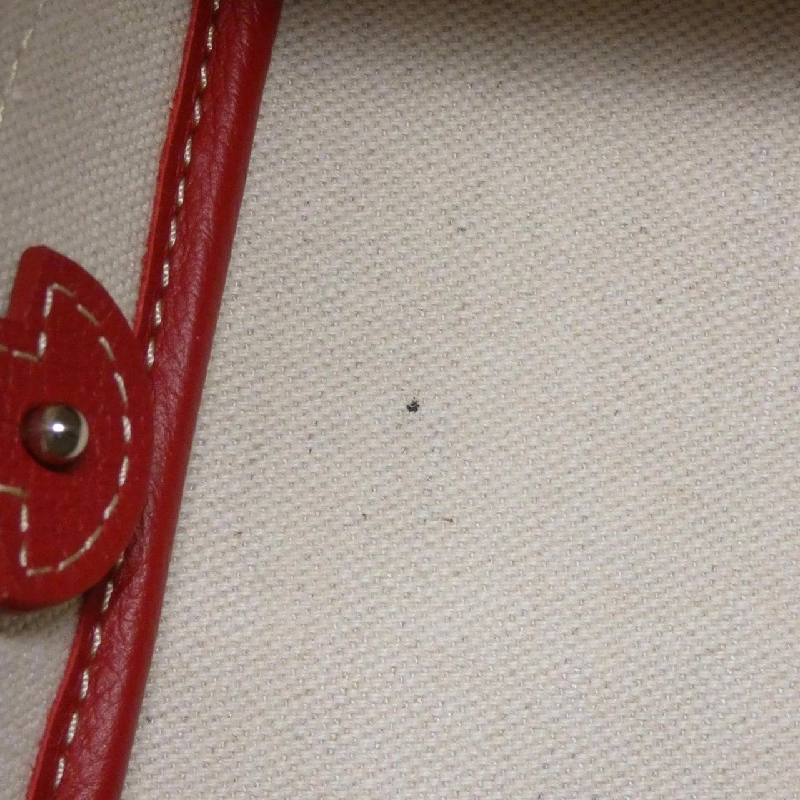 Túi đeo vai Petit Flot Goyard 612133