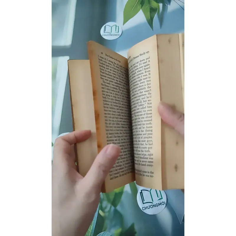 [MIỄN PHÍ BỌC SÁCH] [XƯA] The Catcher in the Rye (1951) - J. D. Salinger 1027211