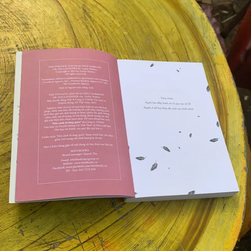 ĐÔI CÁNH BỊ LÃNG QUÊN - LESLYE WALTON 740330