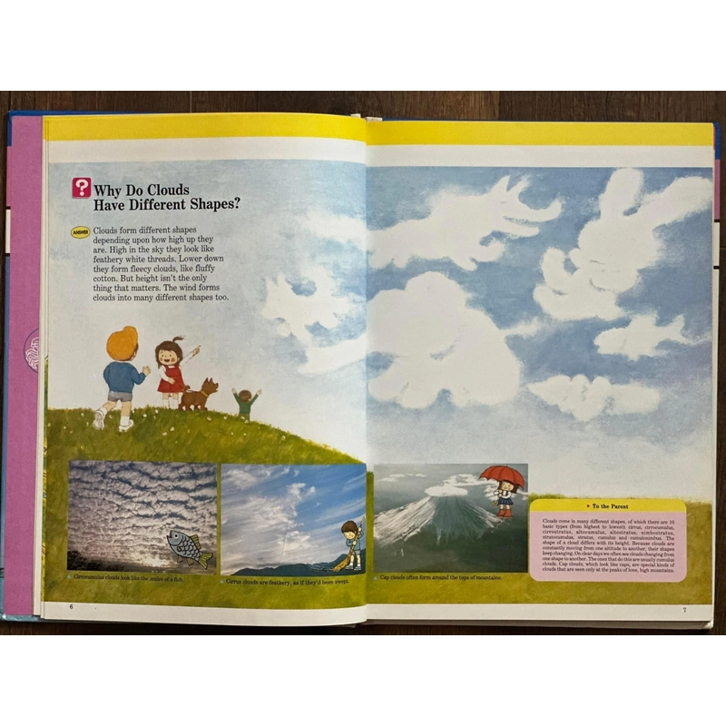 [Bìa cứng] A Child's First Library of Learning: Wind and Weather  248892